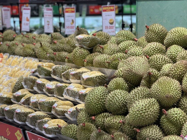 Sầu riêng là một trong những mặt hàng trái cây nhận được nhiều sự quan tâm của người tiêu dùng.