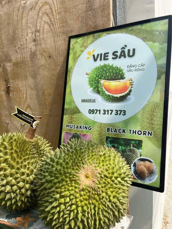 Sầu Musang King và Black Thorn đều có giá bán tương đối đắt đỏ trên thị trường.