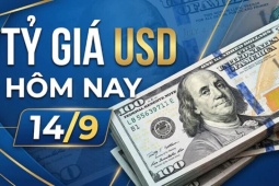Tỷ giá USD hôm nay 14/9: Đồng Đô la Mỹ biến động ra sao?