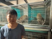 Tận dụng diện tích chăn nuôi nhỏ, anh nông dân Lạng Sơn nuôi con thích ăn hoa quả, chuối tây