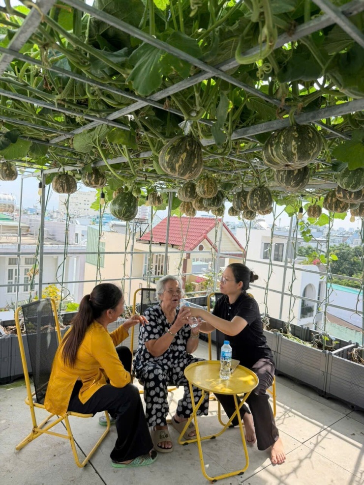 Không chỉ các con, mẹ chị Nhung, năm nay 82 tuổi, cũng thường xuyên lên thăm vườn. Nhìn những giàn cây sai quả của con gái, bà từng xuýt xoa: "Trồng gì đâu mà trái quá trời, thấy ham".