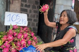 Thanh long ‘đỏ đường’ TPHCM, hạ giá chỉ 5.000 đồng/kg
