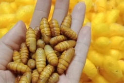 Tin tức sức khỏe - Khi trào ngược dạ dày trở thành căn bệnh nguy hiểm, thì mẹo nhỏ hiệu quả này bất ngờ được khám phá ra