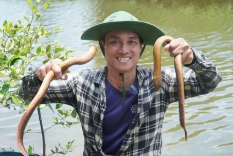 Nghề 'xe lịch' độc lạ của dân Cà Mau