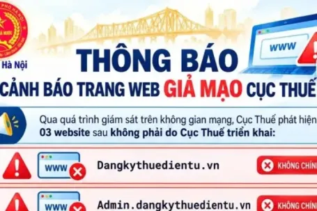 Cơ quan Thuế khuyến cáo người dân không truy cập 3 website giả mạo