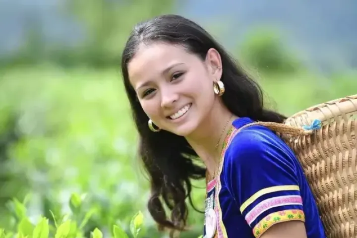 Nhan sắc 'bông hồng lai' thi Hoa hậu Việt Nam