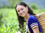 Nhan sắc 'bông hồng lai' thi Hoa hậu Việt Nam