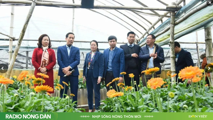 Đoàn công tác Trung ương Hội Nông dân Việt Nam do đồng chí Bùi Thị Thơm - Phó Chủ tịch Ban Chấp hành Trung ương Hội Nông dân Việt Nam làm Trưởng đoàn, tham quan mô hình trồng hoa của ông Khá. Ảnh: Đức Thịnh.