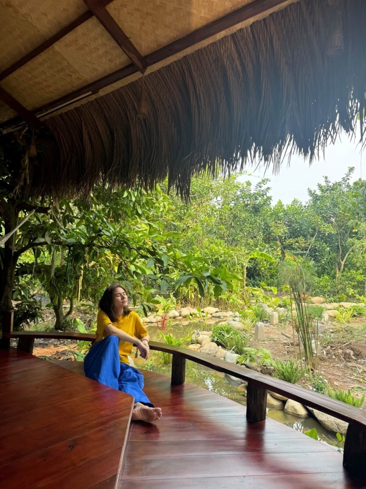 Vân Trang mở rộng khu sinh thái 50.000 m2 ở Đồng Tháp - 6