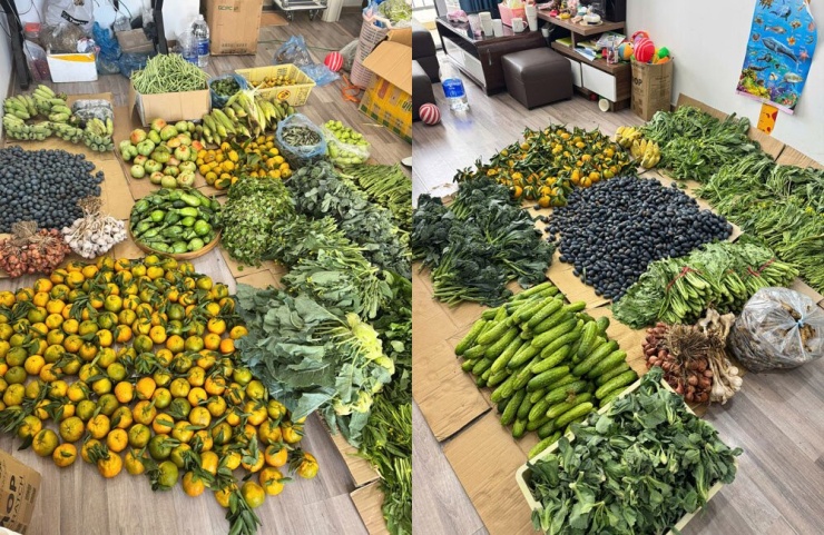 Mỗi ngày, chị Oanh nhập hàng tạ rau củ từ Tây Bắc về để bán 