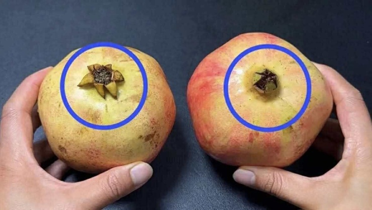 Mua lựu, nhớ 4 mẹo này để chọn quả mọng nước, hạt căng, hạn chế mua phải quả nhạt - 5