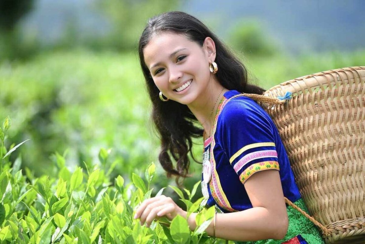 Nhan sắc 'bông hồng lai' thi Hoa hậu Việt Nam - 6