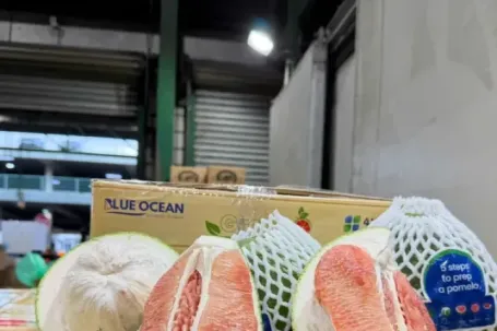 Vì sao Úc tạm dừng nhập khẩu quả bưởi tươi của Việt Nam trong 6 tháng?