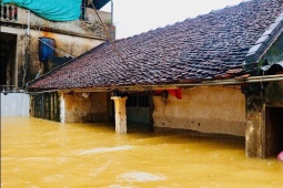 Hà Nội: Ngập gần tới mái nhà, người dân tất tả chạy lũ