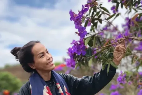Tím lịm đồi chè Đông Trường Sơn