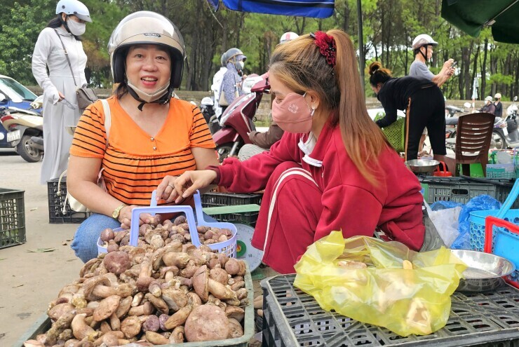 Loài nấm 'đắng ngắt' từ rừng xuống phố, ở xa 30 km vẫn tìm đến mua
