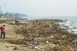 Bãi biển Sầm Sơn ngập rác