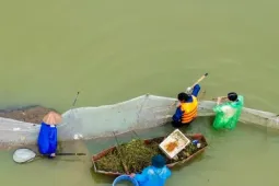 Dầm mình giữa lũ, giữ 15 tấn cá ở ngoại thành Hà Nội