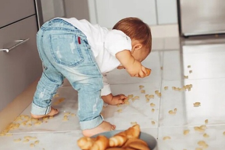 Sự thật 'quy tắc 3 giây' nhặt đồ ăn rơi xuống đất