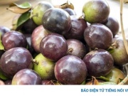 Loại quả được ví như "thuốc bổ tự nhiên" nhưng không phải ai cũng biết