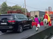 Xác minh clip 'thầy trò Đường Tăng' cưỡi ngựa trên làn ô tô ở TP.HCM