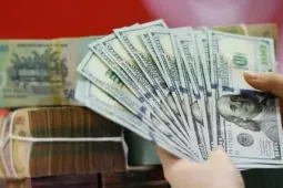 Dự báo về tỷ giá USD/VNĐ trước sự cứng rắn của Fed