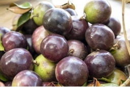 Loại quả được ví như "thuốc bổ tự nhiên" nhưng không phải ai cũng biết