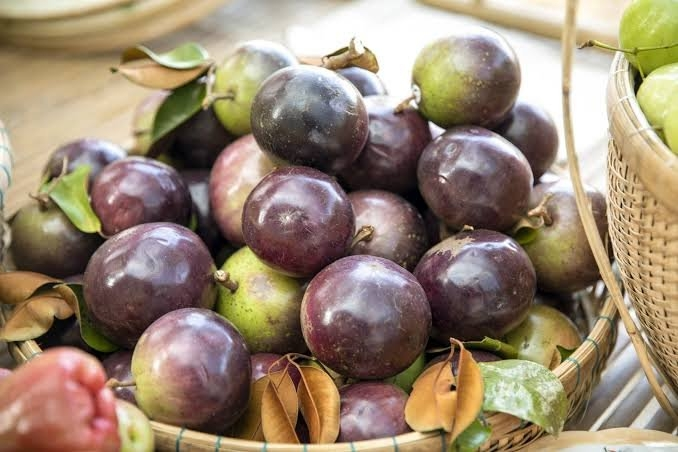Quả vú sữa là loại trái cây nhiệt đới đặc sản nổi tiếng của Việt Nam. (Ảnh: VTC News)