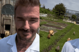 David Beckham gây chú ý, hé lộ một góc biệt thự