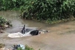Vụ nam sinh rơi cống tử vong ở Hà Nội: Duy nhất một liên danh trúng thầu gần 200 tỷ với giá giảm 0%, hiện trường đau lòng 'tố cáo' những cam kết an toàn trên giấy