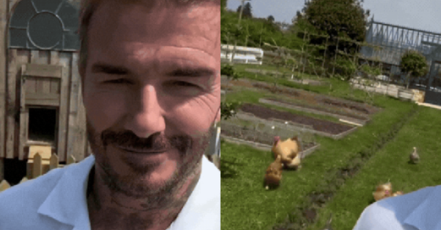 David Beckham gây chú ý, hé lộ một góc biệt thự