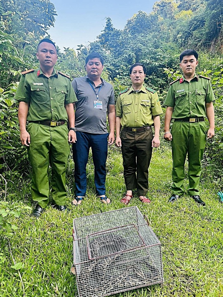 Ông L.V.T. giao nộp cá thể trăn nặng 5kg.
