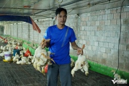 Đi hàng chục km, xếp hàng 3 tiếng chờ mua bánh trung thu truyền thống ở Hà Nội