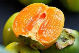 Hồng da tre có gì đặc biệt mà giá gần 200.000 đồng/kg vẫn được chị em thi nhau ‘săn đón’?
