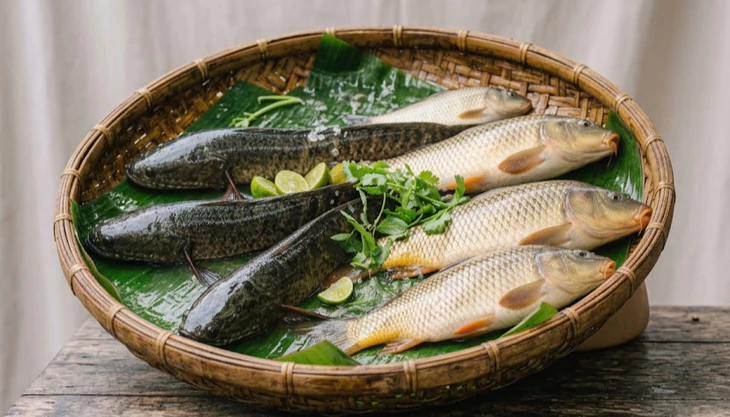 Chọn cá tươi bằng cách quan sát kỹ mang, mắt và vảy cá.