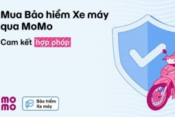 Mức phạt lỗi không có bảo hiểm xe máy cập nhật mới nhất 2026