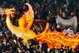 Phượng hoàng 'khủng' nổi bật giữa biển người ở Đà Lạt
