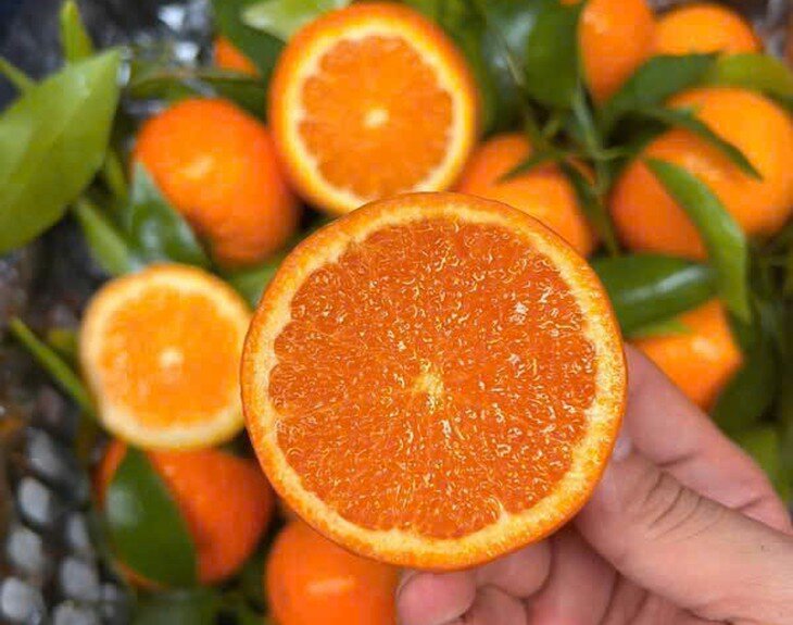 Trái cây họ cam quýt giàu vitamin và các chất chống oxy hóa, tốt cho sức khỏe gan. Ảnh: Vũ Nhật.