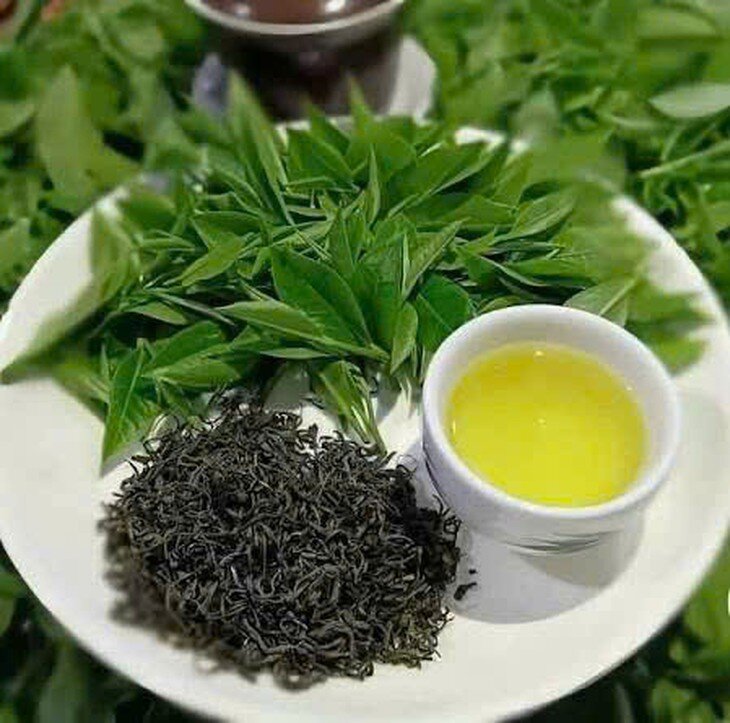 Trà xanh thường được biết đến với khả năng cải thiện chức năng gan. Ảnh: Thái Nguyên.