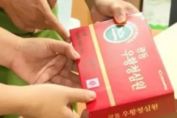 Từ vụ An Cung giả gần 3 triệu đồng/hộp: “An Cung” là thuốc hay sản phẩm gì?