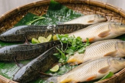 6 mẹo chọn cá tươi ngon và an toàn