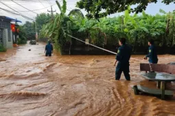 Đồng Nai 'lệnh' dỡ gấp cầu tạm sông Buông vì gây ngập