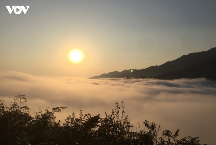 Bình minh trên "biển mây" Tà Xùa, Sơn La
