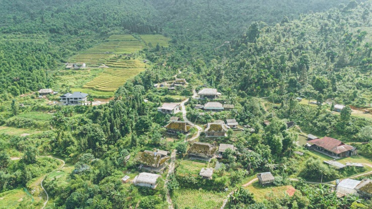 Người dân địa phương cho biết, do khí hậu ẩm cao và mùa đông lạnh, sau khoảng 5 năm, những mái nhà bắt đầu phủ rêu. Rêu phát triển mạnh nhất từ tháng 10 đến tháng 4 năm sau, phủ một màu xanh mướt lên những mái nhà lợp lá cọ. Nhìn từ trên cao, cả ngôi làng hiện lên như bước ra từ một câu chuyện cổ tích, nép mình giữa những cánh rừng xanh thẳm. Ảnh: Vũ Mừng