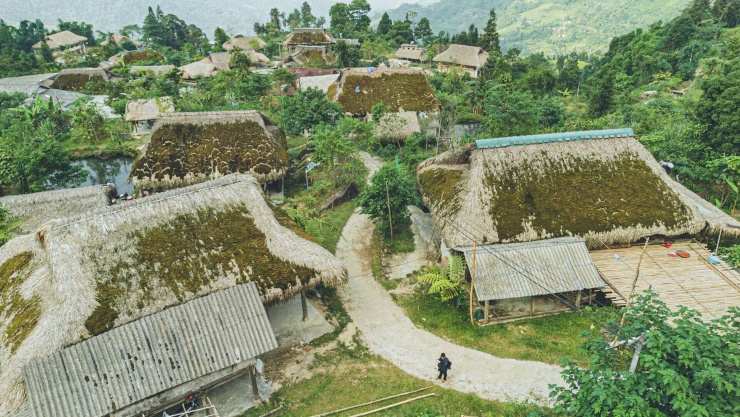 Gắn bó với đời sống của người dân Xà Phìn qua nhiều thế hệ, những mái nhà phủ rêu còn mang trong mình giá trị về cảnh quan và khả năng thích nghi tự nhiên với khí hậu vùng cao. Lớp rêu dày theo thời gian, kết hợp cùng nhiều lớp lá cọ trên mái, vừa nên nét đặc trưng cho những ngôi nhà, vừa trở thành một “lớp áo” tự nhiên bảo vệ không gian sống. Vào mùa đông về, lớp rêu này giúp hạn chế hơi lạnh, giữ cho bên trong nhà sàn ấm hơn. Vào mùa hè, lớp rêu mái nhà có tác dụng che nắng, mang lại không gian dễ chịu và mát mẻ. Ảnh: Vũ Mừng
