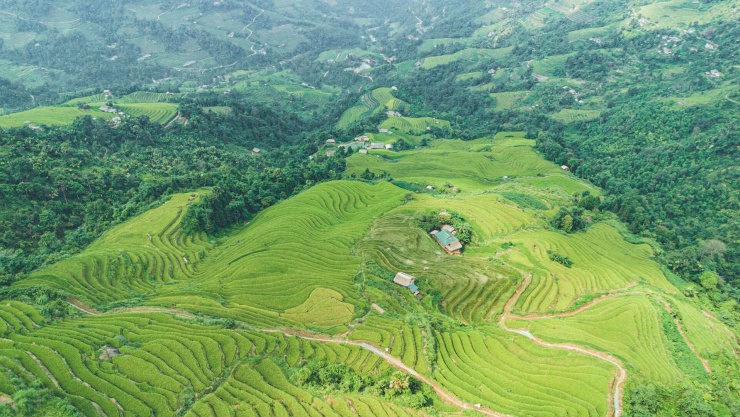 Ngôi làng phủ rêu xanh đẹp mê hoặc giữa núi rừng Tuyên Quang - 7