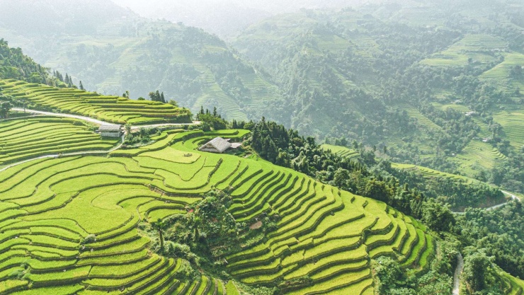 Bên cạnh vẻ đẹp đặc trưng của những mái nhà lợp lá cọ phủ rêu xanh, Xà Phìn còn gây ấn tượng bởi những thửa ruộng bậc thang trải dài, uốn mình theo sườn núi. Ảnh: Vũ Mừng