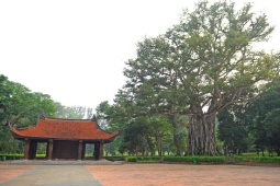 Thí điểm tour du lịch kết nối phố biển Sầm Sơn với các di sản xứ Thanh