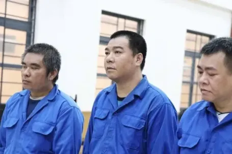 Nhóm đối tượng cướp gần 55 tấn cá tra lãnh 34 năm tù
