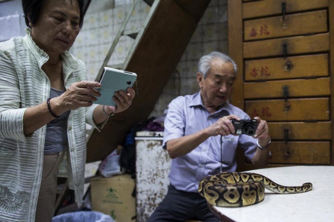 Khách hàng chụp ảnh con trăn tại cửa hàng của bà Chau Ka Ling.